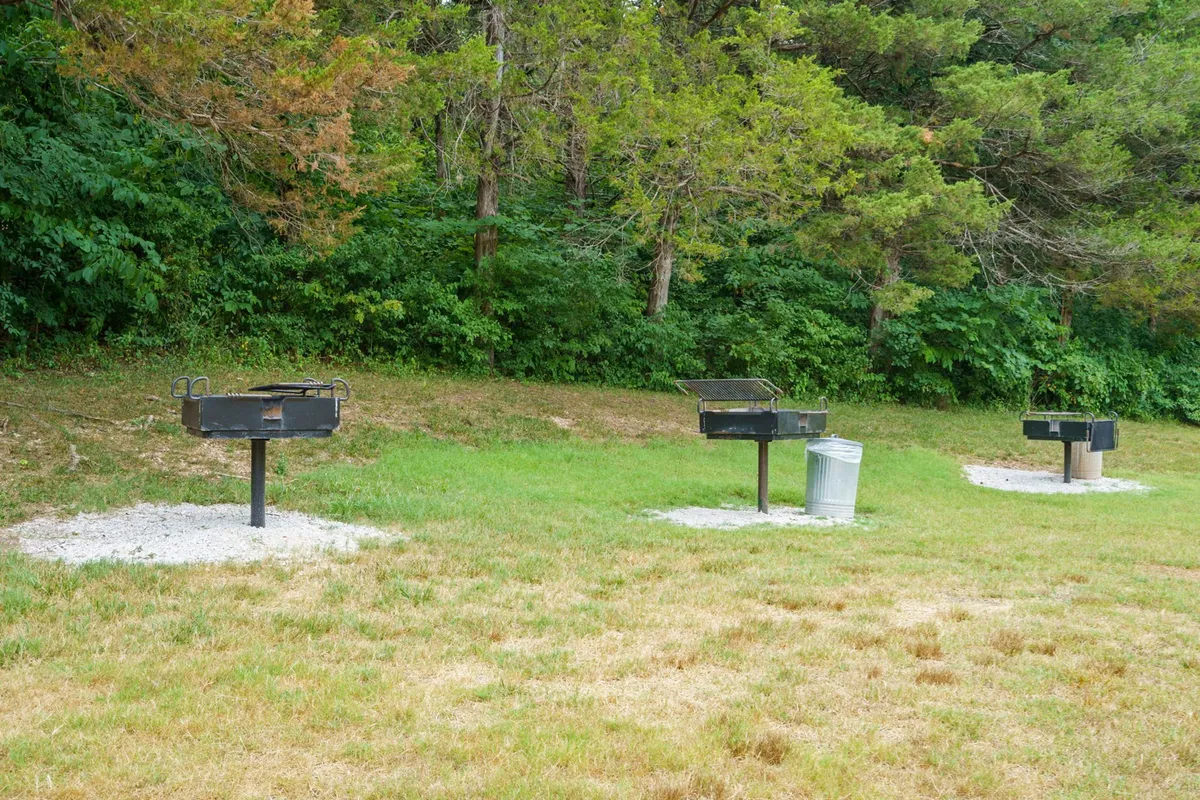 Outdoor grilling area with three charcoal grills surrounded by grass, inviting groups to barbecue and picnic together. The setup encourages casual outdoor dining and camaraderie.